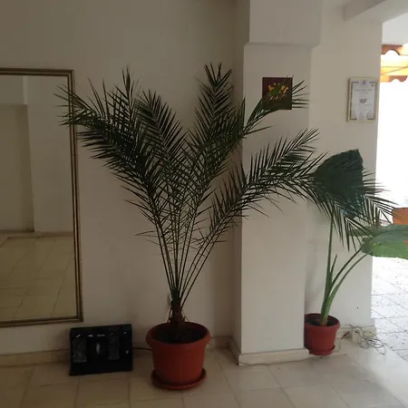 בית הארחה Gloria Holiday House נסבר