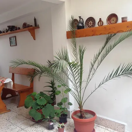 Gloria Holiday House נסבר
